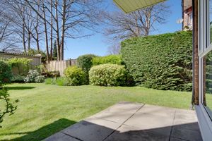 Patio- click for photo gallery